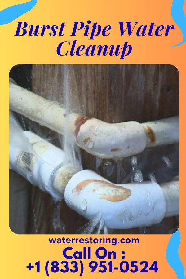 Burst Pipe Water Cleanup in University Park, MD