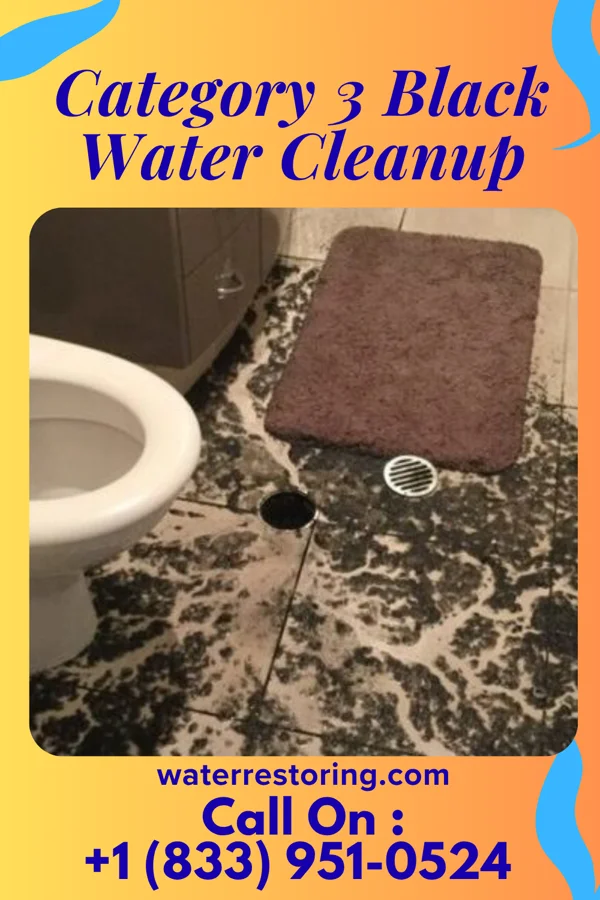 Category 3 Black Water Cleanup in University Park, MD
