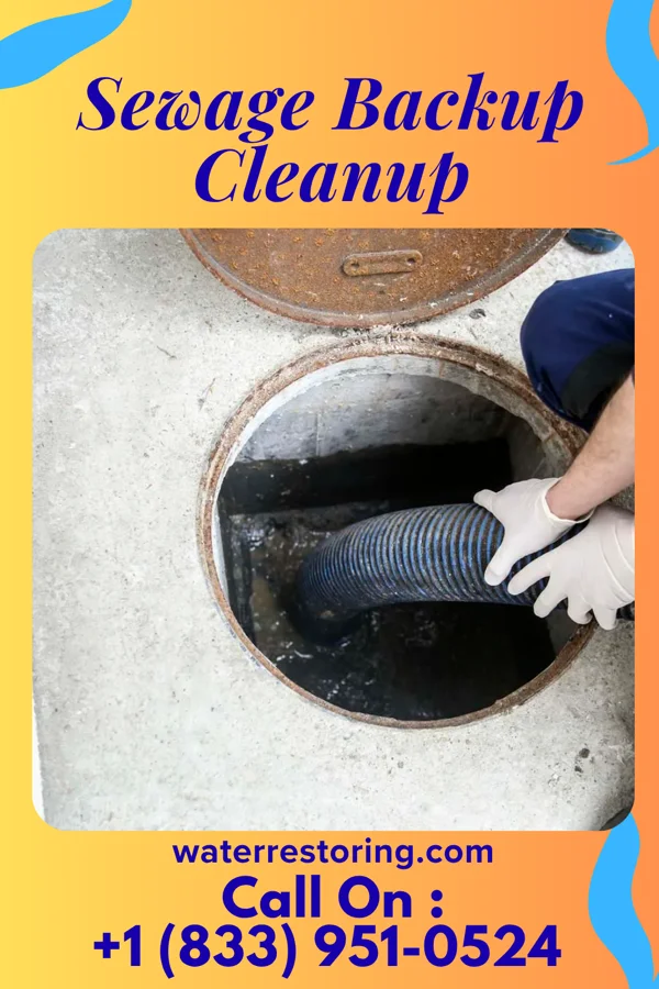 Sewage Backup Cleanup in University Park, MD