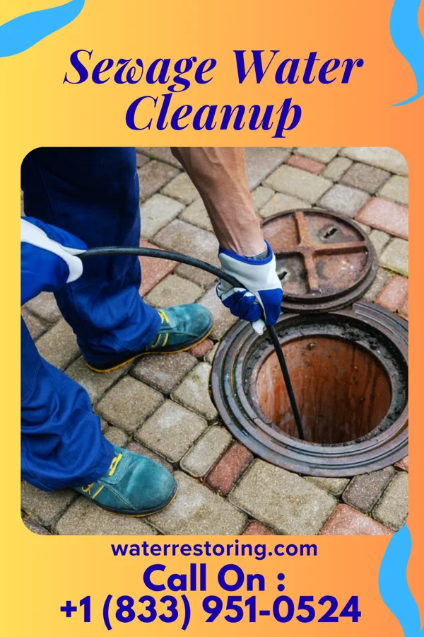 Sewage Water Cleanup in University Park, MD
