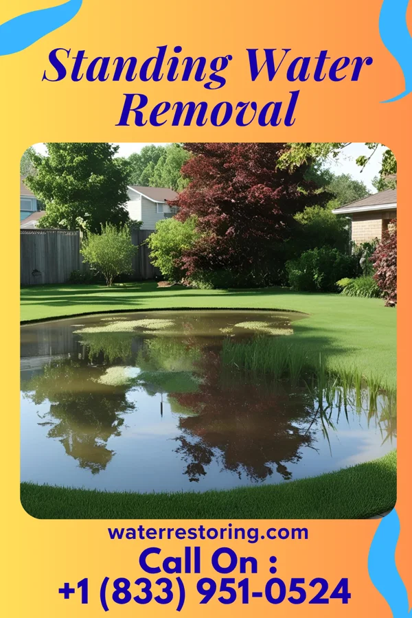 Standing Water Removal in University Park, MD